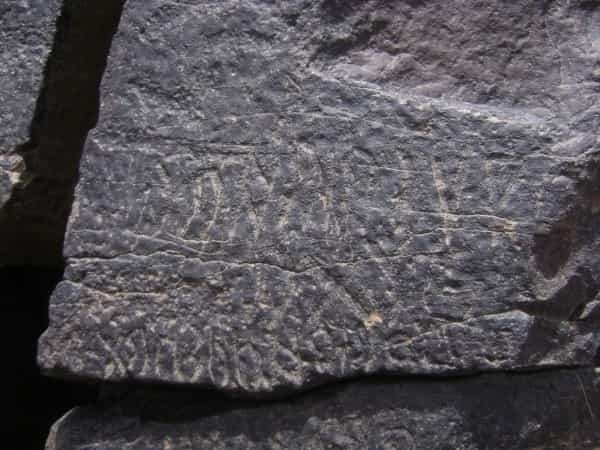 الشرعي ضركام15